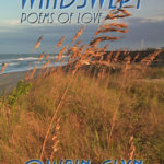 What Readers are Saying about Windswept