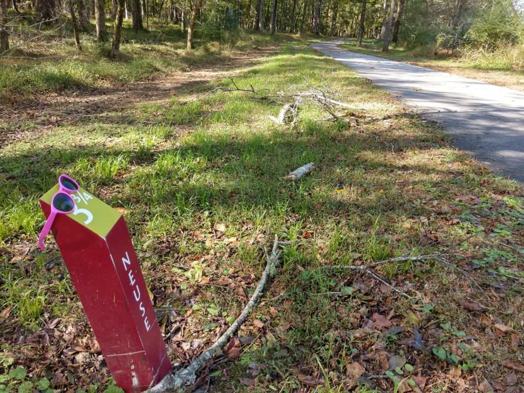 Neuse River Greenway trail, Raleigh, NC