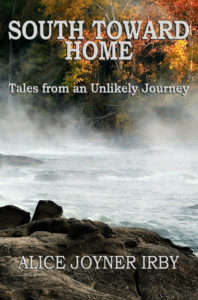 Cover of South Toward Home