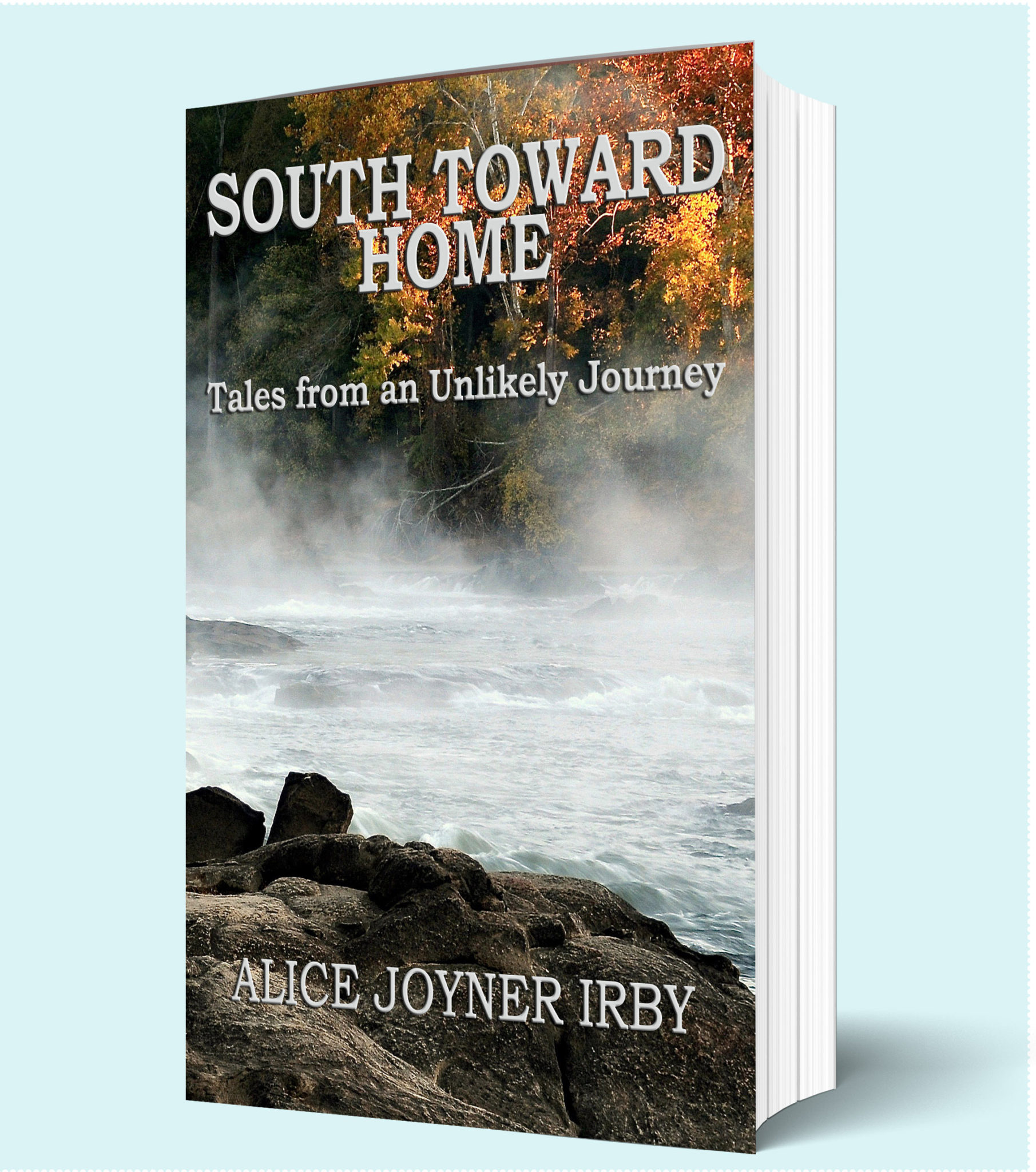 South Toward Home Book Cover